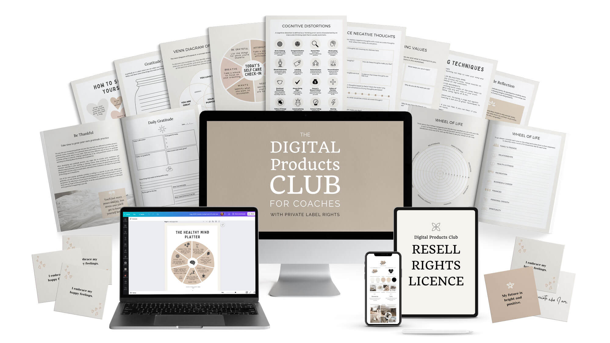 digital products for coaches, canva templates for coaches, coaching canva templates, private label rights